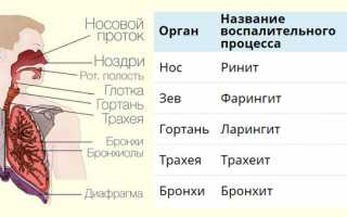 Заложенность носа после лечения гайморита не проходит: что делать?