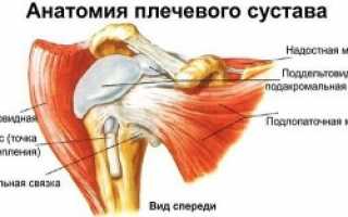 Здоровые суставы — профилактика и лечение