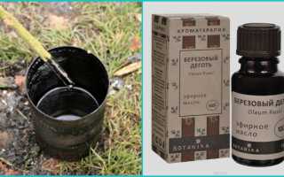 Березовый деготь – лучшее природное лекарство