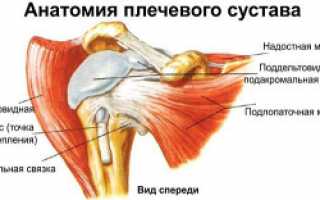 Здоровые суставы — профилактика и лечение