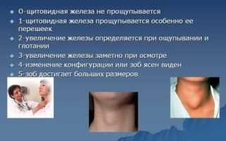 Норма щитовидной железы по результатам УЗИ