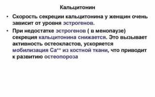 Характеристика, функции и нормы гормонов паращитовидной железы