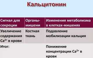 Что такое кальцитонин щитовидной железы?