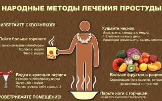 Лечебные травы от простуды, насморка и гриппа — рецепты народной медицины