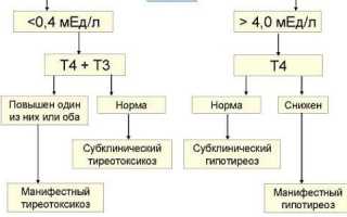 Норма ТТГ