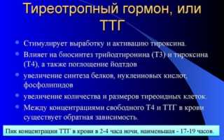 Какова норма уровня ТТГ в анализе крови у женщин?