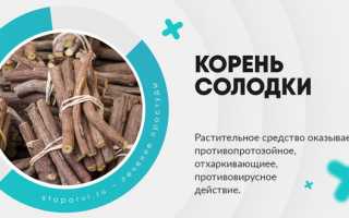 Различия отхаркивающих средств для взрослых: сиропы, таблетки, ингаляции