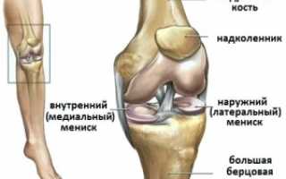 Здоровые суставы — профилактика и лечение