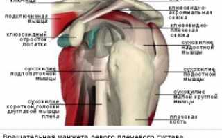 Здоровые суставы — профилактика и лечение